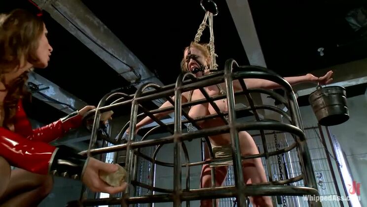 [WhippedAss] - Dee Williams and Ariel Carmine: Lesbian Anal BDSM Encounter - Dee Williams - Ariel Carmine