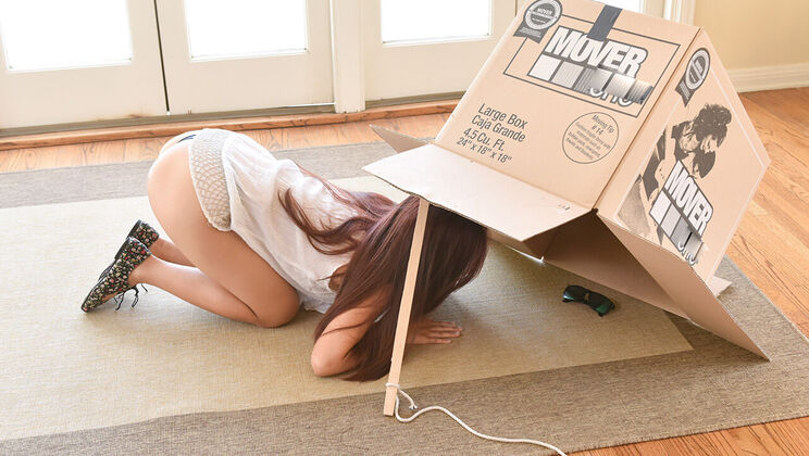 [ExxxtraSmall] - Small Thief Big Trouble - Elle Voneva