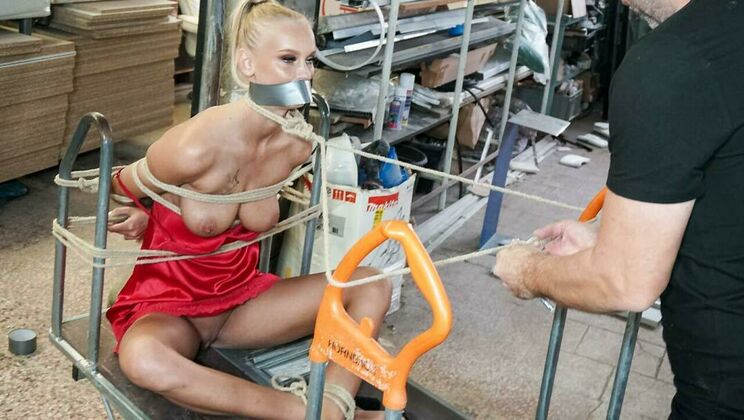 Domination and Desire Unleashed